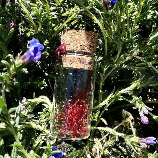 Trésors du Bien-Être